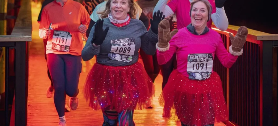 RUN FOR WILDLIFE NIGHT 5K