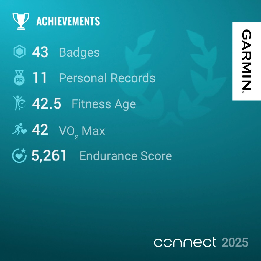 Garmin year in review
