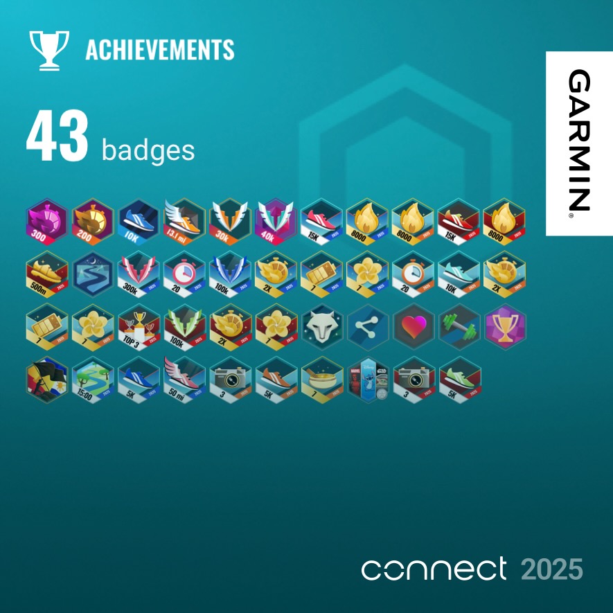 Garmin year in review