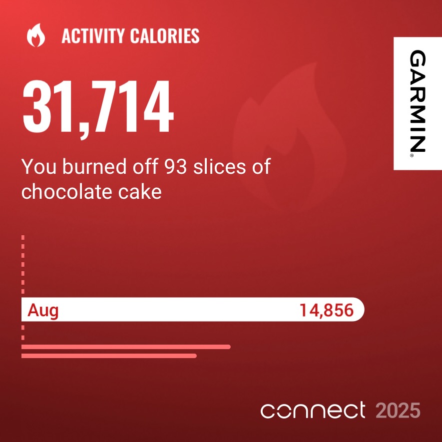 Garmin year in review