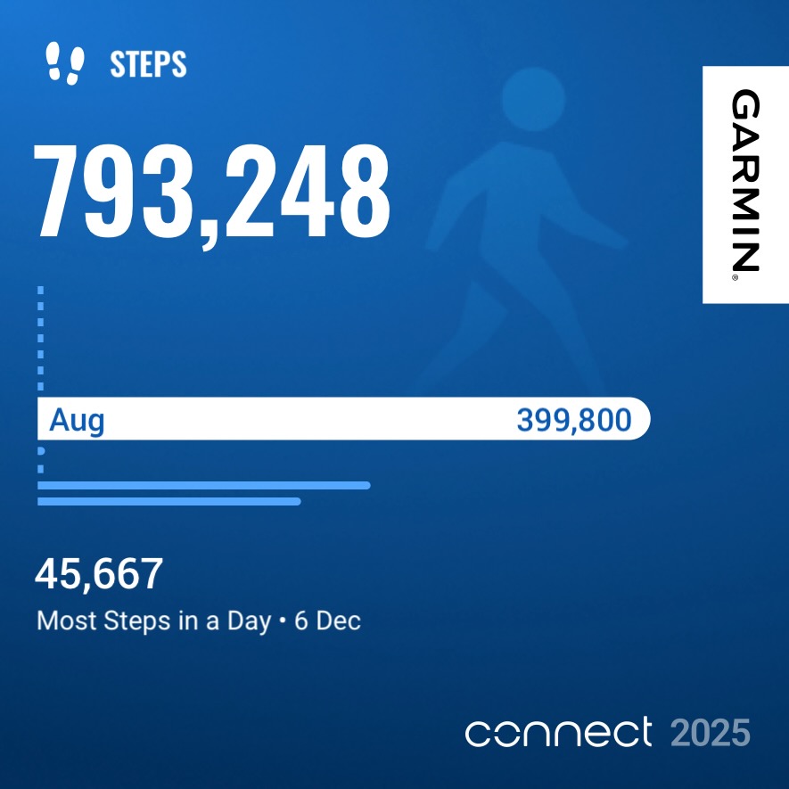 Garmin year in review
