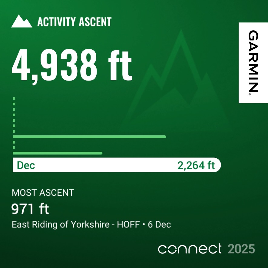 Garmin year in review