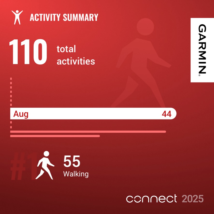 Garmin year in review
