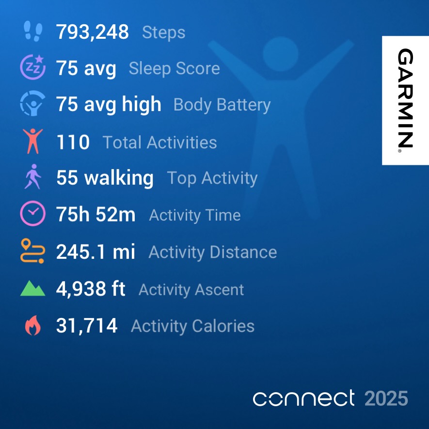 Garmin year in review
